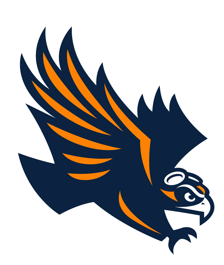 Tennessee-Martin Skyhawks 2020-Pres Secondary Logo diy iron on heat transfer